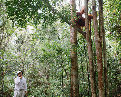 Borneo